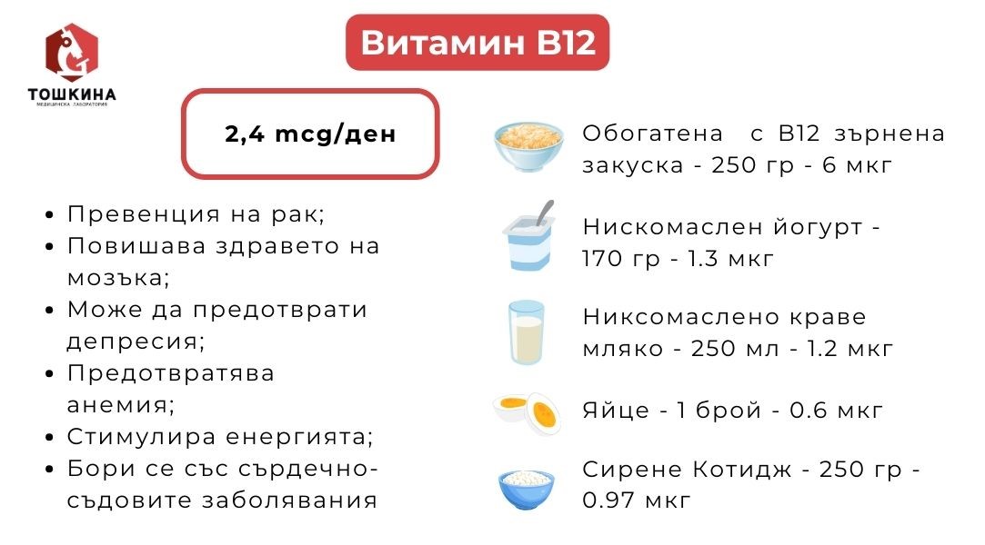 vitamin-B-12