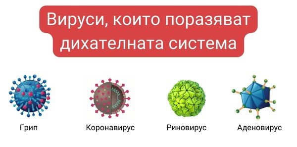 respiratorni-virusi